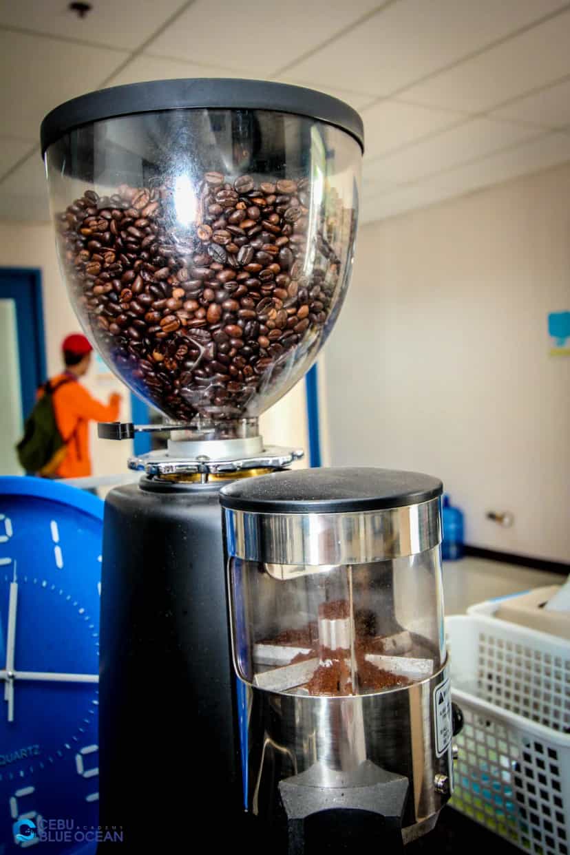 Close-up of freshly ground coffee beans