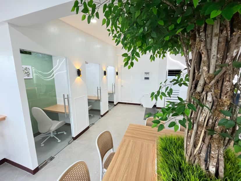 A whole row of glass one-on-one classrooms—with trees in the corridor